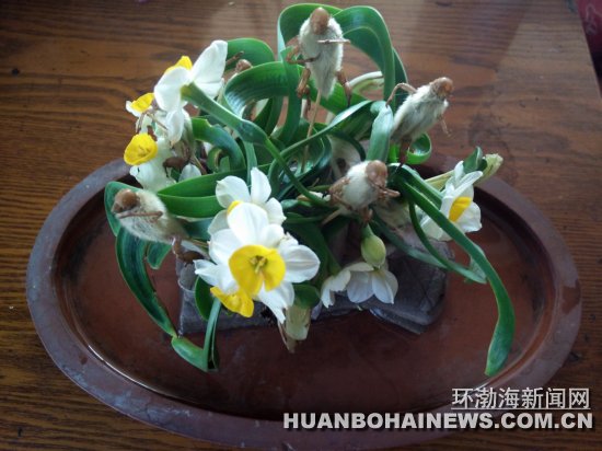 ��ɽһ������ˮ�ɵ�̳����������