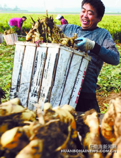 ����������֮�硱�����