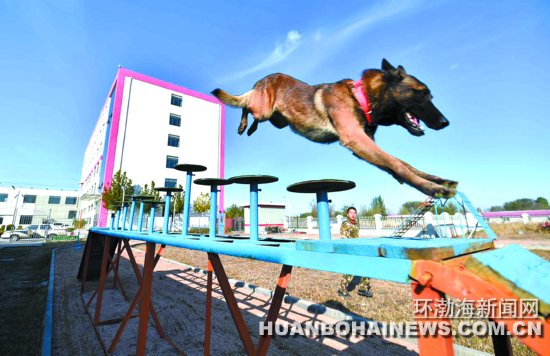 ����̽����ɽ����֧���Ѿ�Ȯ�ж�