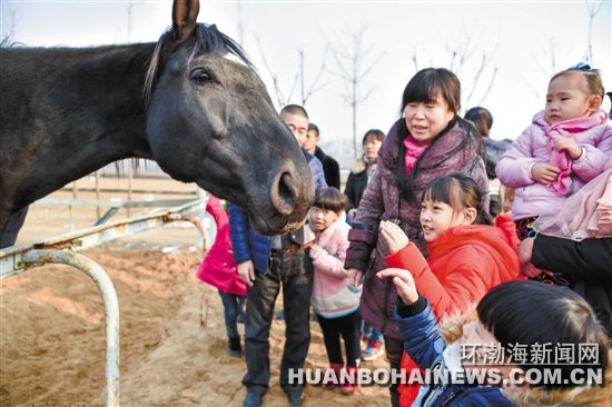 ��ɽ���������ֲ�Ϊ���϶�ͯ��ͨ������ͨ����