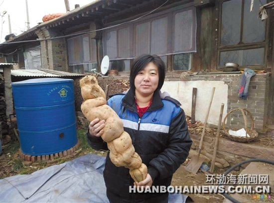 Ǩ���ش����6.95���