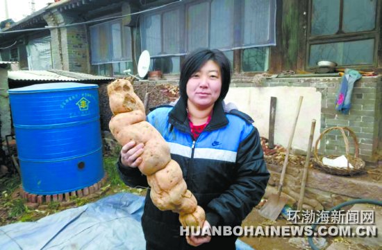 Ǩ��ũ���ֳ�6.95����б����ۡ������