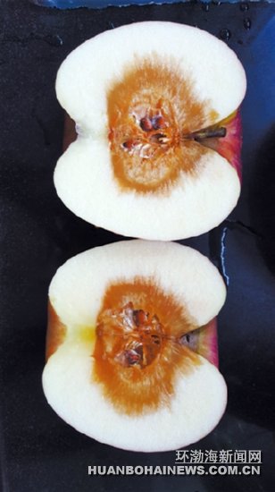 �߼���ء�ƽ������������