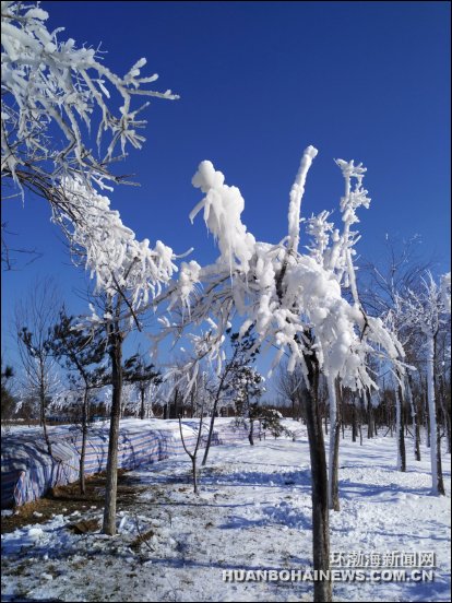 2017�꾩�򼽶���������ɽվ�ڹ������ε�����