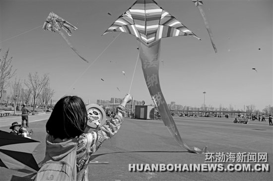 ��ɽ����˰��ɲ������ݷ糵���ϡ���˰��