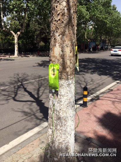 ��ɽ��ͷ���Ϲҡ���ƿ������ͼ��