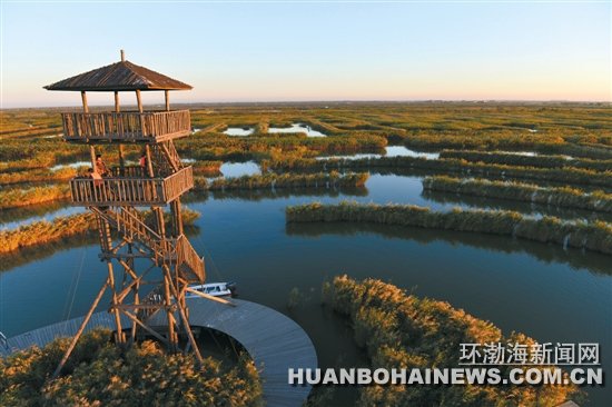 �����������ξ���ֻ�ǿ���