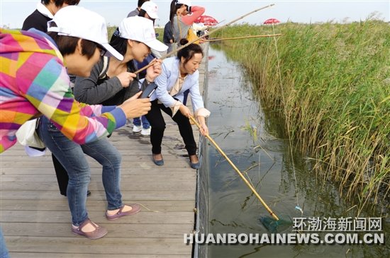 �����������ξ���ֻ�ǿ���