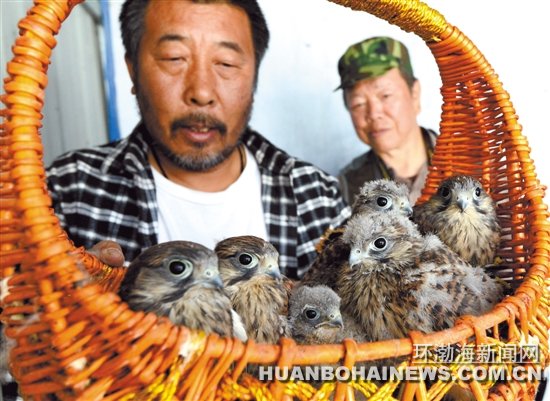 ������6ֻ����������� ����վ��Ա���Ŀ���