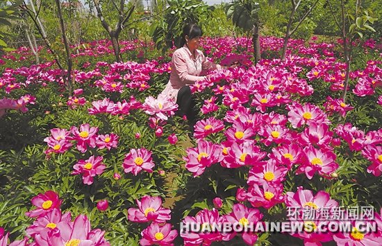 Ǩ��ũ����������ĵ����ҩ14�� 6���û�ľ�����