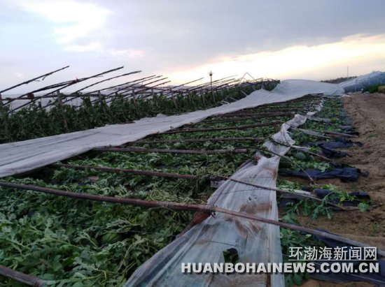 ���ε����� 2�򹫽���������������ͼ��