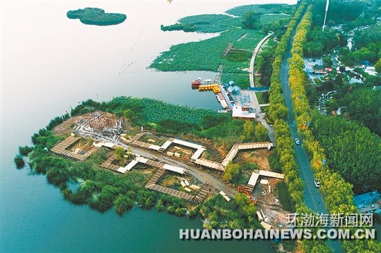 �Ϻ������¾���