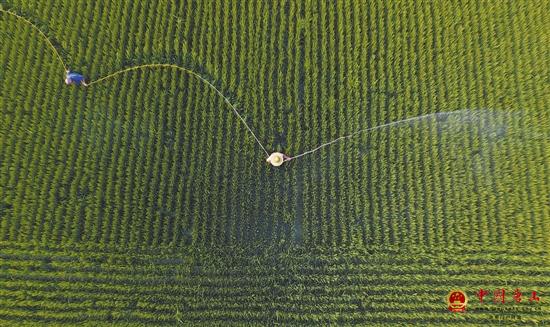 ��ʡ����ȫ���������溦 ȷ����������