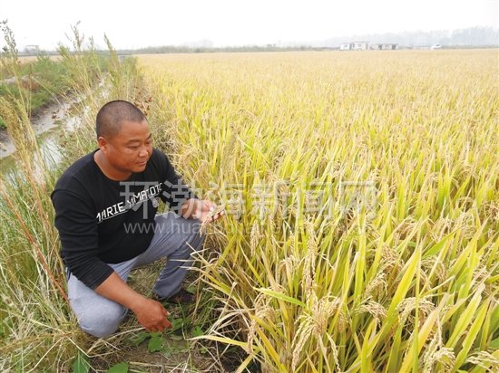 з�ﵾ���ո��ڼ� ��������Ѱ�Ҹ�����·