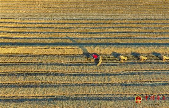 ��ʡ��������ʳ��������������Ҫũ��Ʒ����������