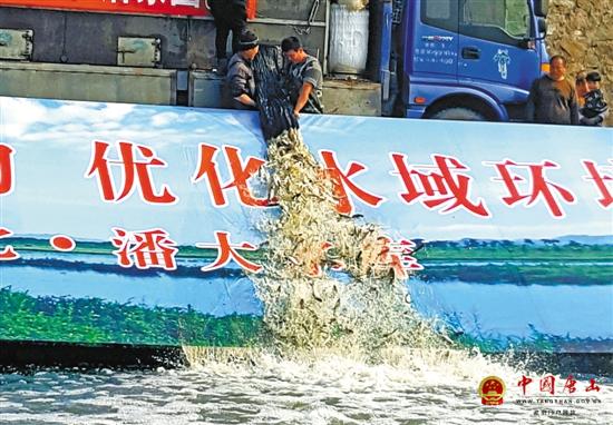 2017��ӱ�ʡ�˴�ˮ��ˮ��������ֳ����������оٰ�