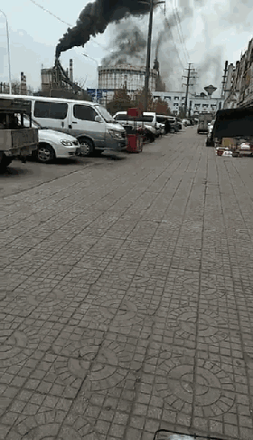 a403c60724753af692e57bc9ce45b1e8.gif