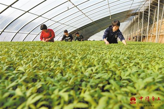 ��ͤ��Լ�����������ִ�ũҵ