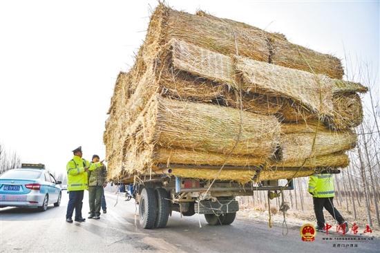 ���е�·��ͨ��������ξ۽�ũ���·