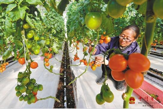 ����ũҵ���ϡ������ӡ� ����Ǯ���ӡ�