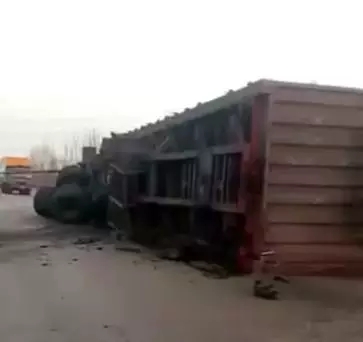 ����.webp (3).jpg