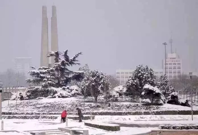 ����.webp (14).jpg