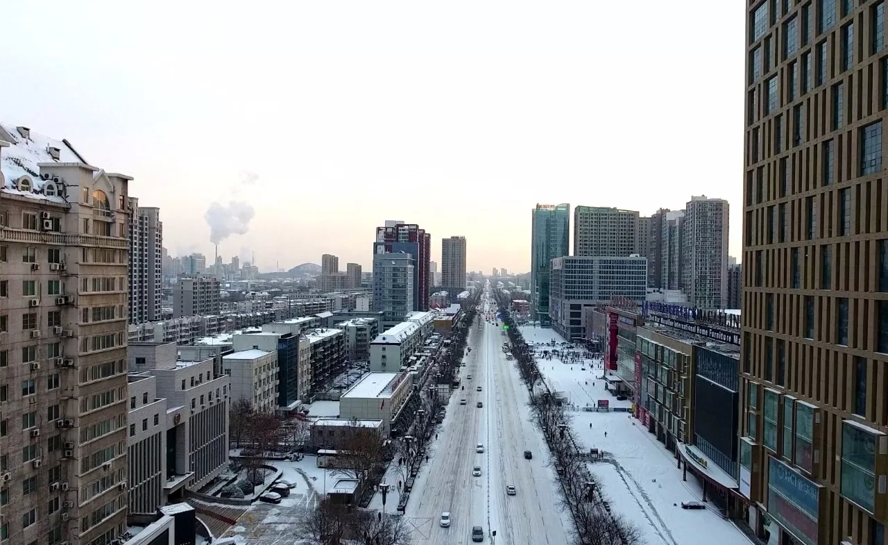 ����.webp (15).jpg