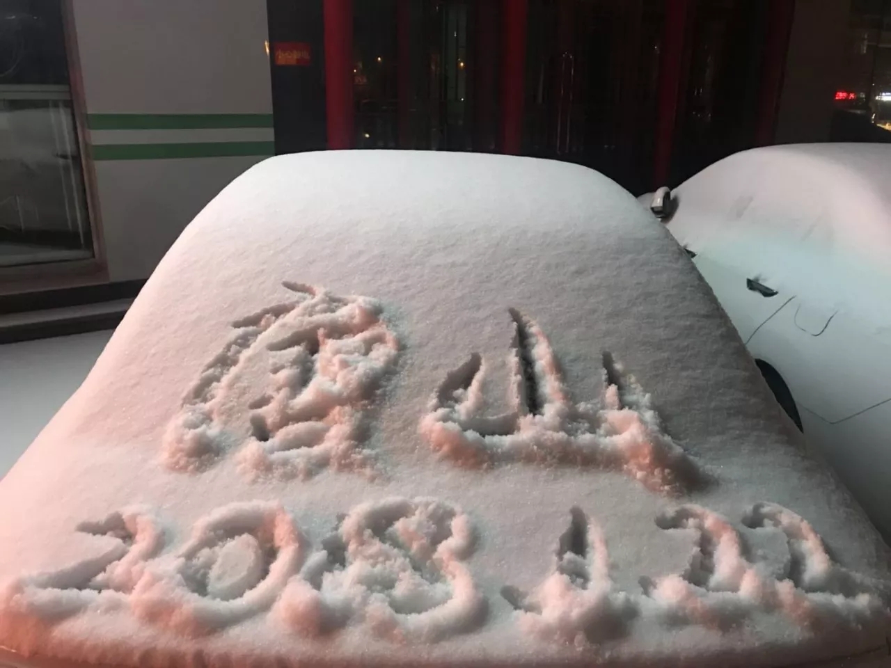 ����.webp (21).jpg