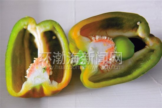 �棡���ཷ�����ﻹ��С�ཷ