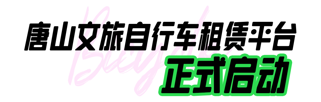 50224622_57ebd242-5093-4fdc-bb9f-1e55f00c188acopy.png